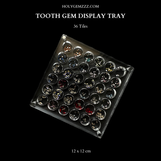 Magnetic Tooth Gem Display Tray